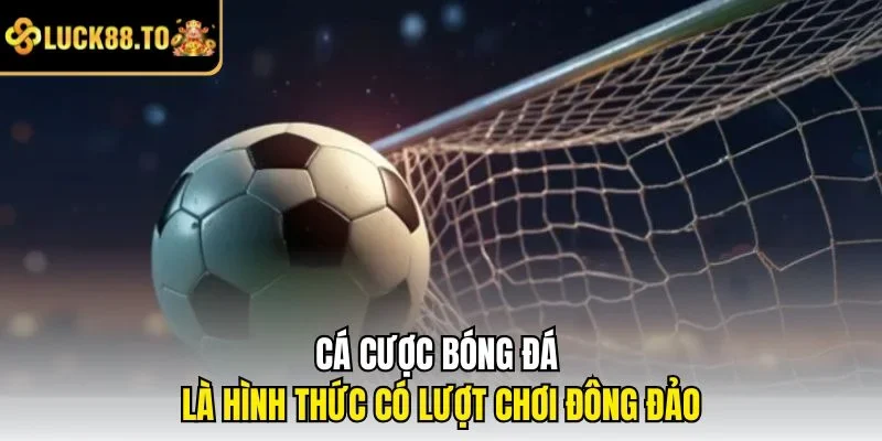 Cá cược bóng đá là hình thức có lượt chơi đông đảo